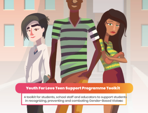 Teen Support Programme Toolkit