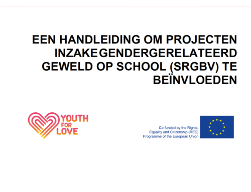 Projecten inzake gendergerelateerd geweld op school – Y4L1